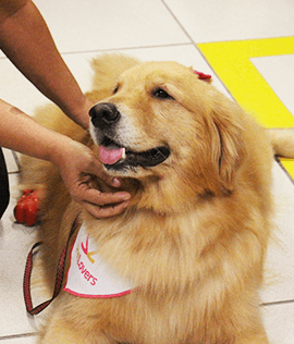 Uma tarde de muito amor!